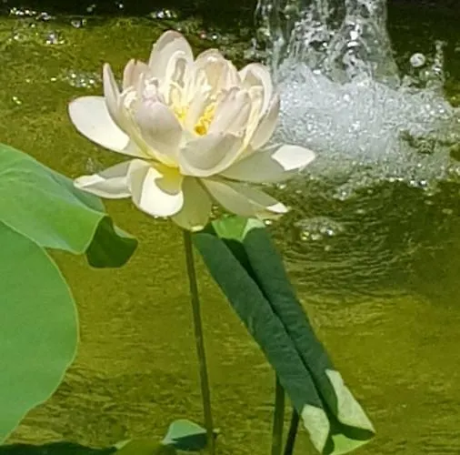 Casa de Férias La Voliere *